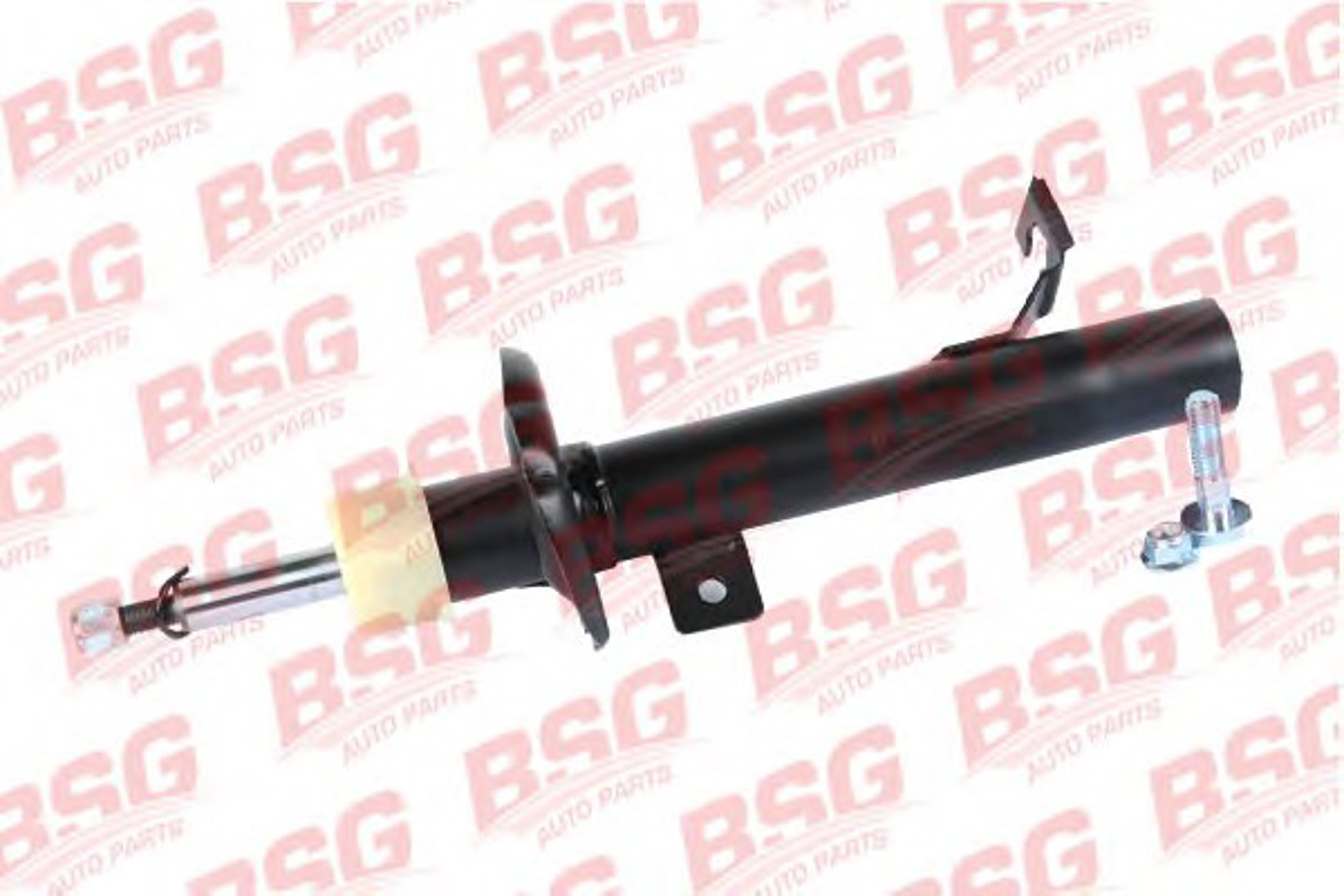 BSG30300027